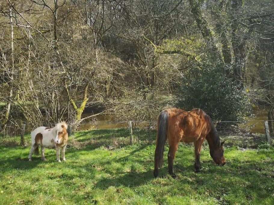 La Parenthese Villa Guénin Kültér fotó